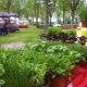 La Serre Aux Aromates - image 1