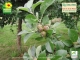 Ferme D'andecy - image 4