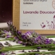 Savonnerie Du Cèdre - image 2