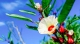 Hibiskus Gourmet - image 5