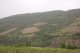 Domaine Rémi Chomel - image 1