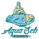 Aqua Seb Production - image 1