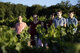 Champagne Ol Lassaigne/ferme Des Charmes - image 4