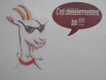 Logo La Boîte à Fromages