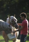 Logo Haras De Rocquigny - Lait De Jument