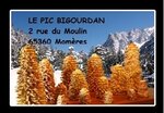 Logo Le Pic Bigourdan