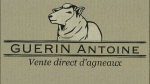 Logo Guerin Antoine