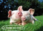 Logo Ferme Du Sancy