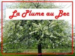 Logo La Plume au Bec