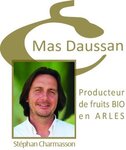 Logo Mas Daussan