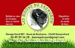 Logo Les Bisons Du Sachuron