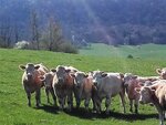 Logo Ferme  Des 'granges Rouges'