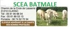 Logo Scea Batmale
