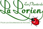Logo Les Plantes De La Lorien