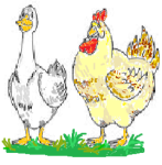 Logo Les Volailles De Svitlana Et Frédéric
