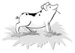 Logo Earl Les Souches