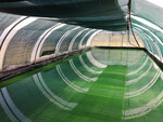 Logo Spiruline Des Raspes Du Tarn