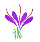 Logo Safran de ste foy