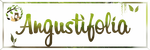 Logo Angustifolia