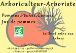 Logo Colas Guillot