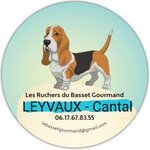 Logo Les Ruchers Du Basset Gourmand