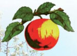 Logo Les Vergers D'hardeville