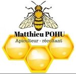 Logo Matthieu Pohu Apiculteur