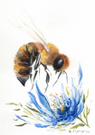 Logo Rucher De La Forterre