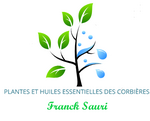 Logo Sas Sauri