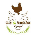 Logo Scea De Bronceaux