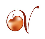 Logo Vinelem