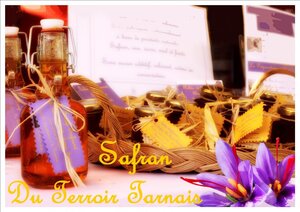 Logo Safran Du Terroir Tarnais