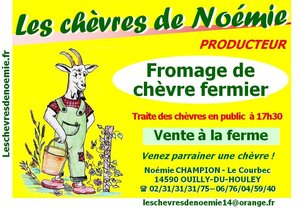 Logo Les Chèvres De Noémie
