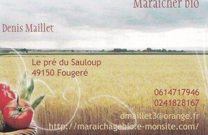 Logo Denis Maillet