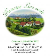 Logo Domaine Larroudé