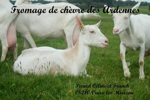 Logo Picard Céline & Franck