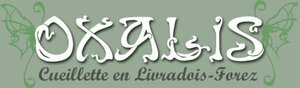 Logo Oxalis