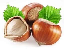 Logo Noisettes Du Jura