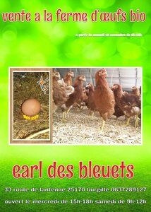 Logo Earl Des Bleuets 