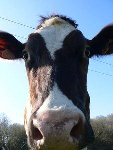 Logo Ferme De Saint Laurent