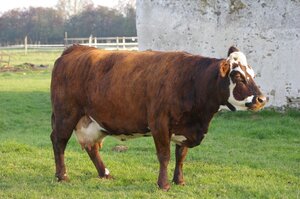 Logo La Ferme De Courcelles