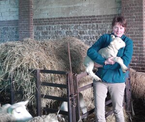Logo Ferme Normande