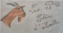 Logo P'tit Chèvre D'arrelles