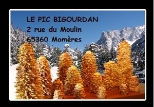 Logo Le Pic Bigourdan