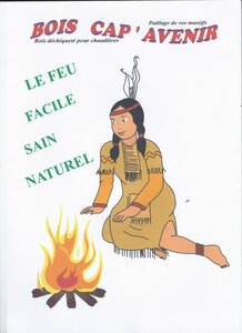Logo de Earl Des Vieilles Rues      Marque : Bois Cap ' Avenir