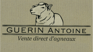 Logo Guerin Antoine