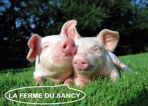 Logo de Ferme Du Sancy