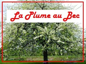 Logo de La Plume au Bec