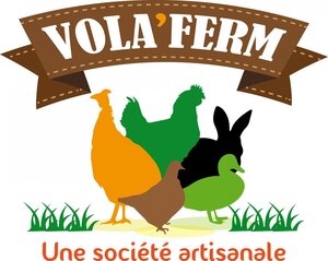 Logo Delphine Jung