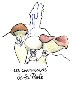Logo Afeiph - Les Champignons De La Pointe 